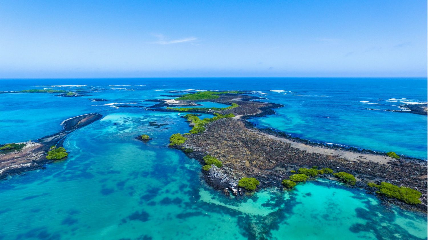 Top 10 Gal pagos Islands Images Fontica Blog