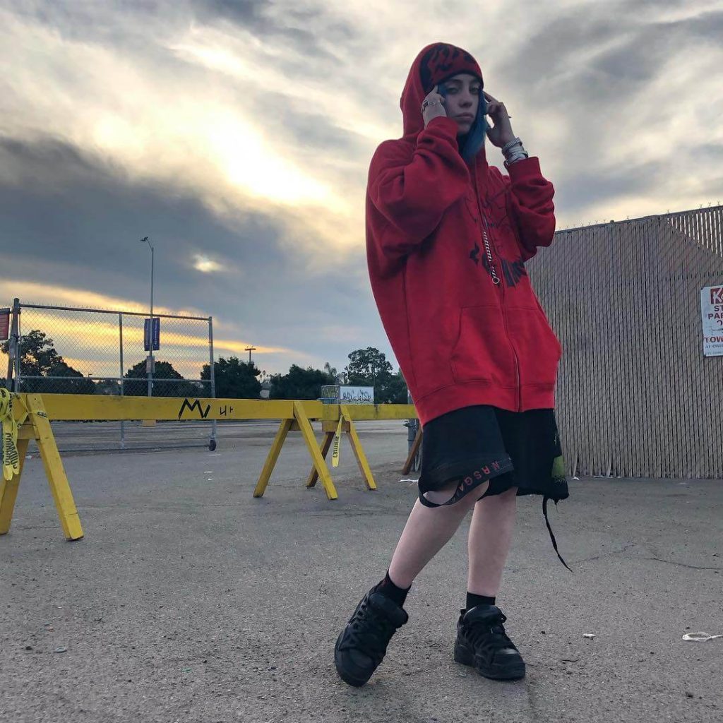 Hot Pictures Of Billie Eilish Will Make You Fan Of Her